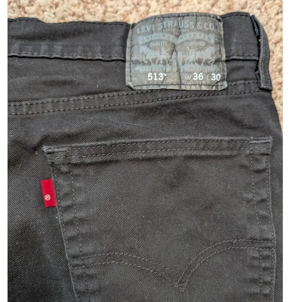 Levis levi 313